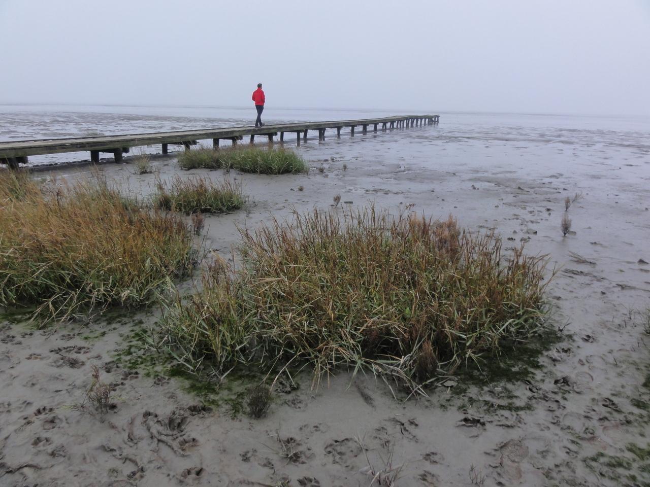 Ostfriesland 2011